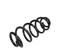 Molla del telaio MAGNUM TECHNOLOGY SA030MT