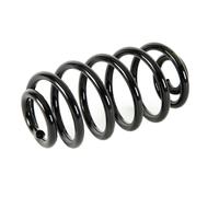 Molla del telaio MAGNUM TECHNOLOGY SK058