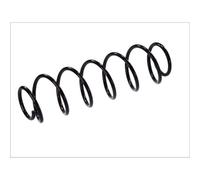 Molla del telaio MAGNUM TECHNOLOGY SR043MT