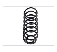 Molla del telaio MAGNUM TECHNOLOGY SW047MT