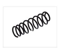 Molla del telaio MAGNUM TECHNOLOGY SW052MT