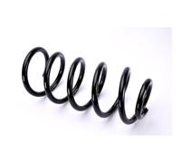 Molla del telaio MAGNUM TECHNOLOGY SW109MT