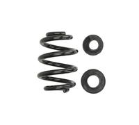 Molla del telaio MAGNUM TECHNOLOGY SW116MT