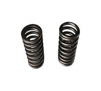 Molla di bloccaggio della valvola del tenditore della catena della valvola radiale 'albero a camme della motocicletta adatta for ZY100 JOG100 RS100 RSZ100(Spring 2pcs)