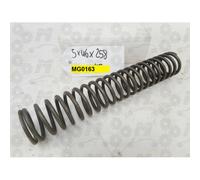 Molla di compressione in acciaio ad elica cilindrica per auto autocarri e moto