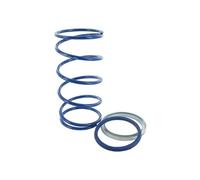 Molla di contrasto POLINI Evo-Slider 28kg per APRILIA Rally 50 LC Tipo:TM