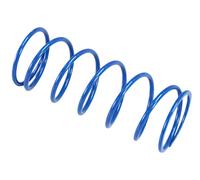 Molle Di Contrasto POLINI Honda Sh 125/150 (243076) per Moto Ricambi