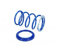 molla di contrasto Polini per scooter