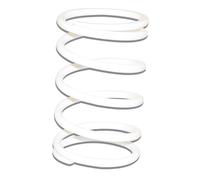 Molla di contropressione Malossi rinforzata - AN 125 95-99