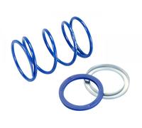 Molla di contropressione Polini Evo-Slider +8% per Piaggio