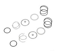 Molla di ricambio e sfera in acciaio per porta punte avvitatore a percussione compatibile con modelli DCF885 DCF886 N078434 N089668, confezione da 2 pezzi, elasticità in metallo durevole