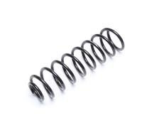 Molla di ricambio per ammortizzatore posteriore Coil spring per Polo IV