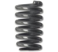 Molla di ricambio per porta a pendolo, misura 36, 115 mm, acciaio a molla