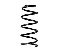 Molle Posteriore Ricambio OE R10670 per Fiat PUNTO 55703713 - 85855 - 36-209644