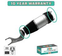 Anteriore Aria Sospensione Molla Struttura SX / Destro 106636625C 106736100C