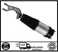 Anteriore SX O Dx Aria Sospensione Molla Borsa Montante per Tesla Modello X