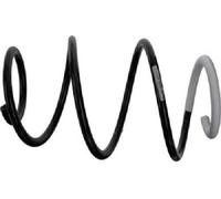 SACHS 993 919 Molla autotelaio per RENAULT