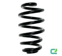 Molla Di Sospensione Posteriore 252Mm SPIDAN Per AUDI A4 B6