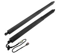 Molla Elettrica Gas Compatibile con Per Borde 2015 2016 2017 2018 Elevación Escotilla Eléctrica Trasera Soporte OEM FT4Z14B35-1A10 FT4Z5840-6A10B