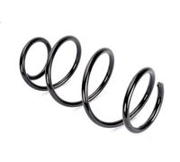 Molla del telaio KYB K-Flex RH3541