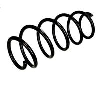 Molla elicoidale MAGNUM TECHNOLOGY SG166MT per FORD FUSION (JU_) 1.4 2002-2012