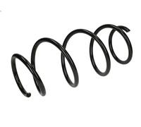 Molla del telaio MAGNUM TECHNOLOGY SR012