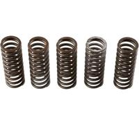 Set di molle frizione TRW MEF308-6