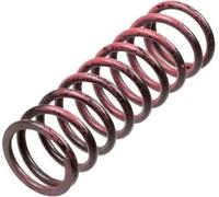 Set di molle frizione TRW MEF313-6