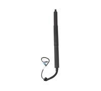 Molla gas per portellone Per BMW X5 F15 2014-2018 Supporto portellone posteriore sinistro destro elettrico portellone bagagliaio 51247434041 51247434042 Leva del portellone(Sinistra)