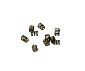 Molla, iniettore common rail DELPHI 9308-402B, 10 Pezzo