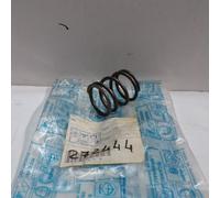 MOLLA INTERNA FORCELLA INFERIORE SOSPENSIONE ANTERIORE PER PIAGGIO NRG-NTT