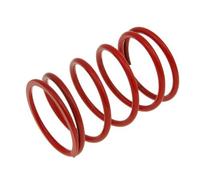 Molla Malossi Rossa +30% per Yamaha Majesty 250 YP250 ABS 4T LC (5SJ) 99-03