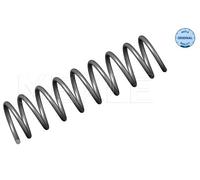 Molla MEYLE Della Sospensione Posteriormente Per BMW 5 Serie