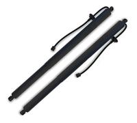 Molla Pneumatica 2pcs Lh + Rh Supporto Di Sollevamento Portellone Elettrico Spacer 81770-d3100 81780-d3100 Vano Bagagli Molla Ad Aria Per Hyundai Per Tucson 2015-2020 Ammortizzatori Cofano Posteriore