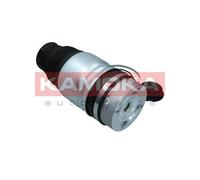 Molla pneumatica, Autotelaio anteriore Dx per AUDI PORSCHE VW CAYENNE Q7 TOUAREG
