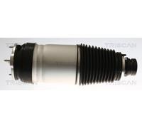 Molla pneumatica, Autotelaio Assale anteriore bilaterale per TESLA MODEL S