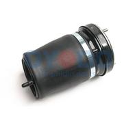 Molla pneumatica, Autotelaio Assale anteriore Sx per BMW X5