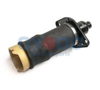 Molla pneumatica, Autotelaio Assale posteriore Dx per AUDI A6 ALLROAD