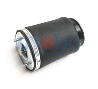 Molla pneumatica, Autotelaio Assale posteriore Dx per BMW 5