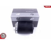 Molla pneumatica, Autotelaio Assale posteriore Dx per BMW 5