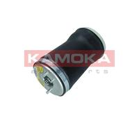 Molla pneumatica, Autotelaio Assale posteriore Dx per BMW X5