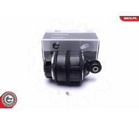 Molla pneumatica, Autotelaio Assale posteriore Dx per MERCEDES-BENZ CLASSE E CLS