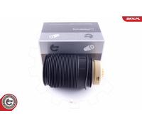 Molla pneumatica, Autotelaio Assale posteriore Dx per MERCEDES-BENZ CLS