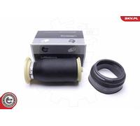 Molla pneumatica, Autotelaio Assale posteriore per BMW X5 X6