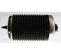 Molla pneumatica, Autotelaio Assale posteriore Sx per AUDI A6 A7