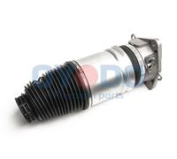 Molla pneumatica, Autotelaio Assale posteriore Sx per AUDI A8