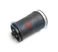 Molla pneumatica, Autotelaio Assale posteriore Sx per BMW X5