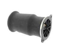 Molla Pneumatica Autotelaio Corteco 80001152 per Mercedes Benz Mercedes Benz Dx