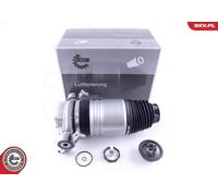 Molla pneumatica| Autotelaio esen-skv 58SKV049