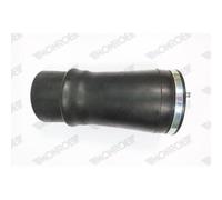 Molla Pneumatica Autotelaio Monroe ASP013 per Bmw